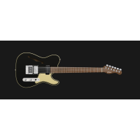 Model CT-E Semihollow