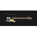 Model CT-E Semihollow Model CT-E Semihollow