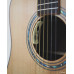 Model DC - Acoustic Guitar