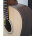 Model DC - Acoustic Guitar