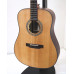 Model DC - Acoustic Guitar