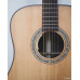 Model DC - Acoustic Guitar