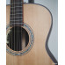 Model OMC - Acoustic Guitar